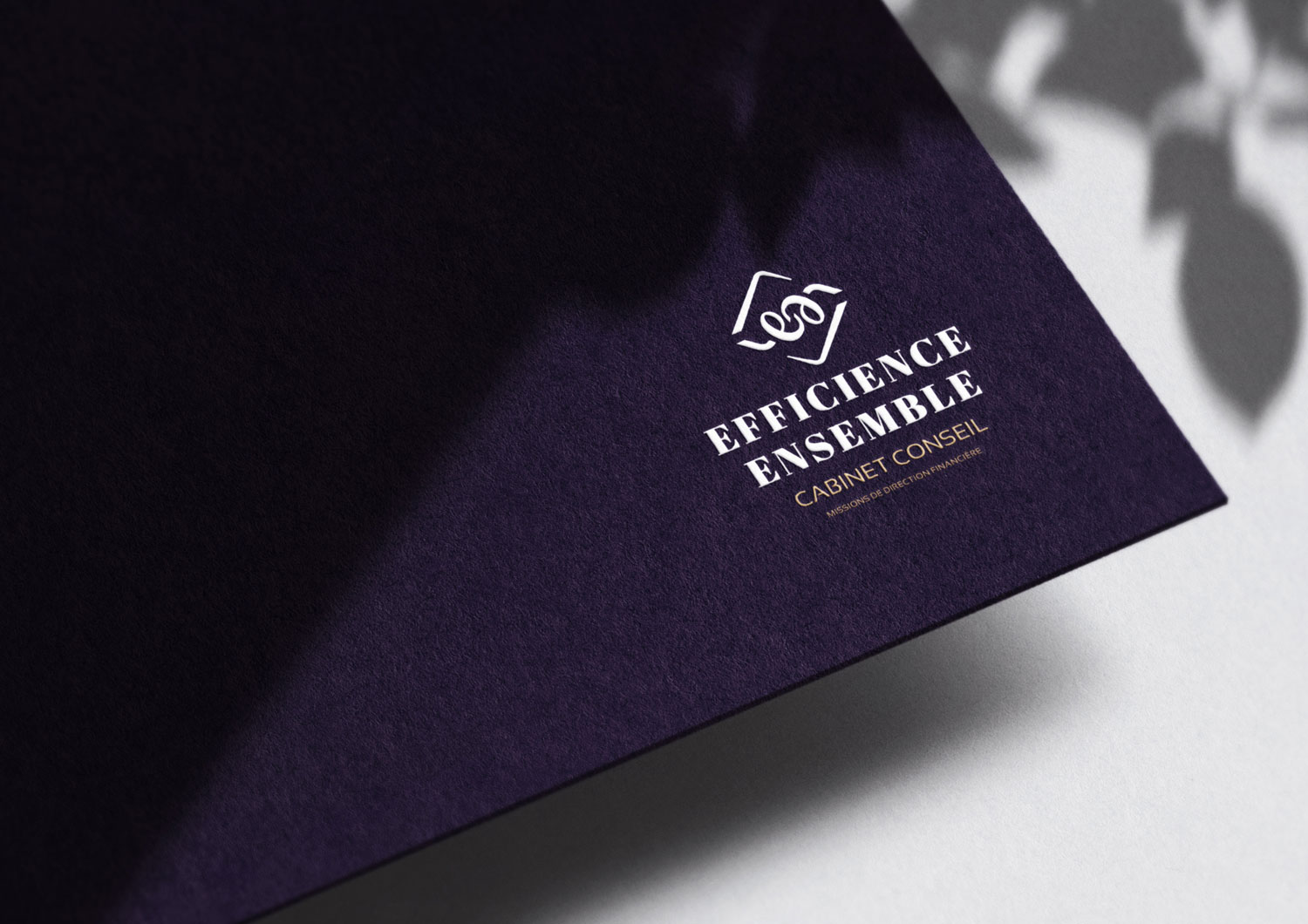 logo-efficience-ensemble Logo coach business