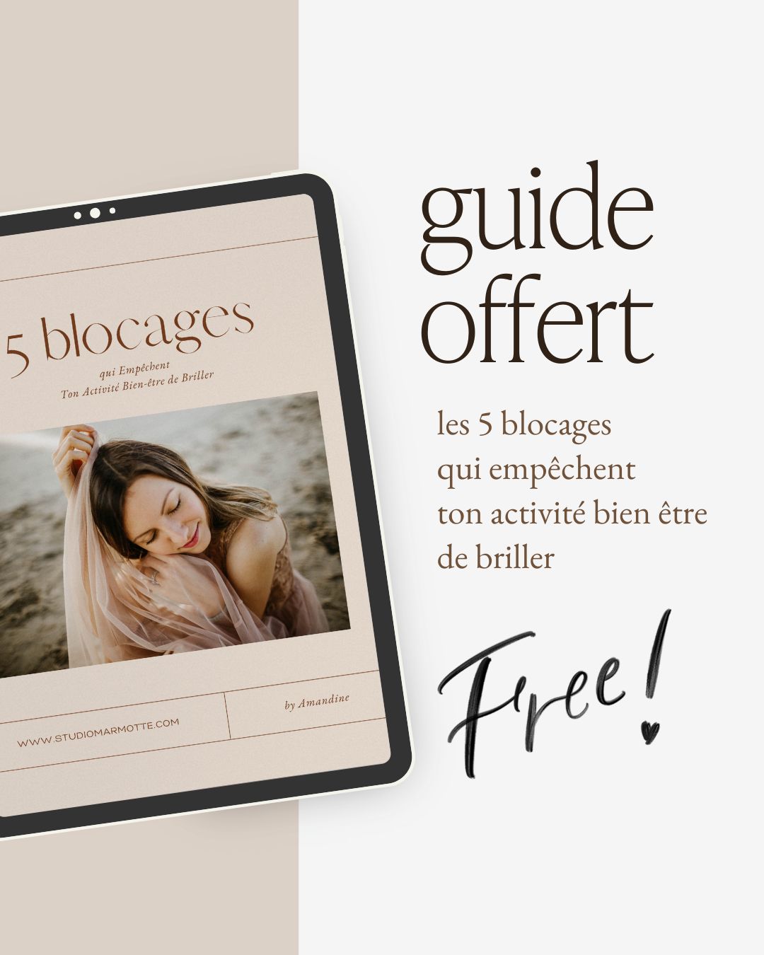 Guide offert
